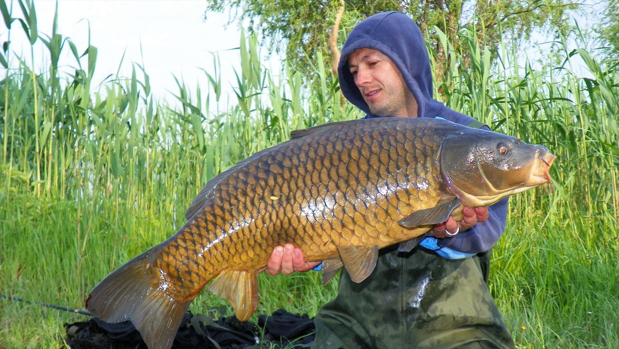 Crapmania - 2011 - 1000891.JPG